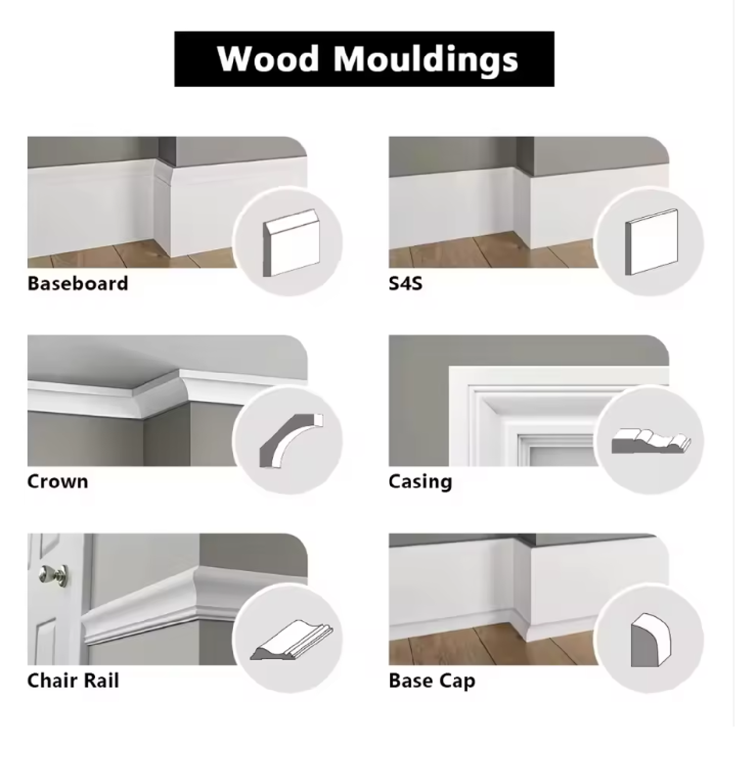 Company Introduction